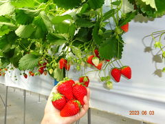 悵̂肳̂̉Ԃւ̓eʐ^2