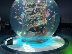 ranob101AQUARIUM~ART atoaւ̓eʐ^1