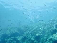 pada̗όU@}NuWCւ̓eʐ^1