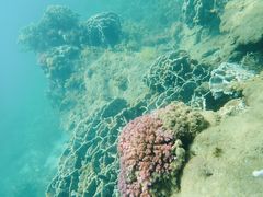 pada̗όU@}NuWCւ̓eʐ^3