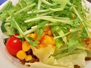 TC̃cm̃Ex_ Apze&][gxC̓eʐ^3