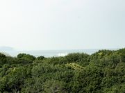 �C�C�ꃉ�C�_�[����̊}�R�֌Q���т̓��e�ʐ^6