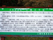 CCꃉC_[̎O啽iwVRLOj̓eʐ^1