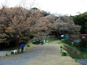 CCꃉC_[̎O啽iwVRLOj̓eʐ^2