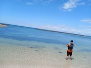 �R�b�V��������̍]��C������̓��e�ʐ^1