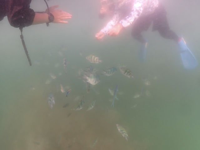 �����Ă܂������A���������ċ��ɉa�t���o���܂����B�{���Ɋy���������ł��B���肪�Ƃ��������܂����B_EGG�_�C�r���O�V���b�v