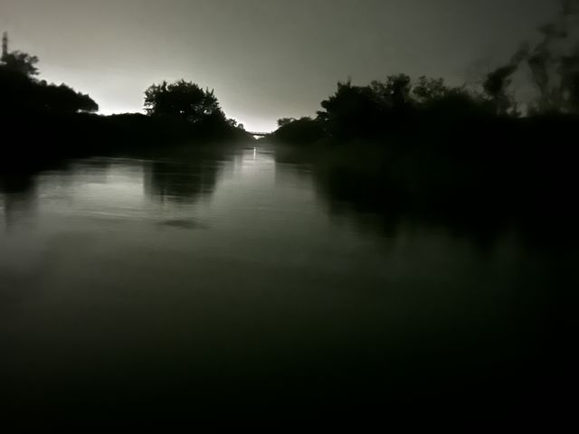 �����I�Ȍi�F�ł���_�T�����C�v���f���[�X