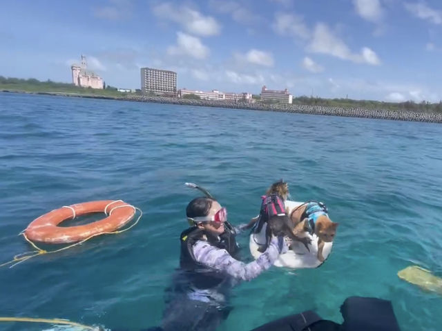 ���͕|���Ȃ�_Like Daddy