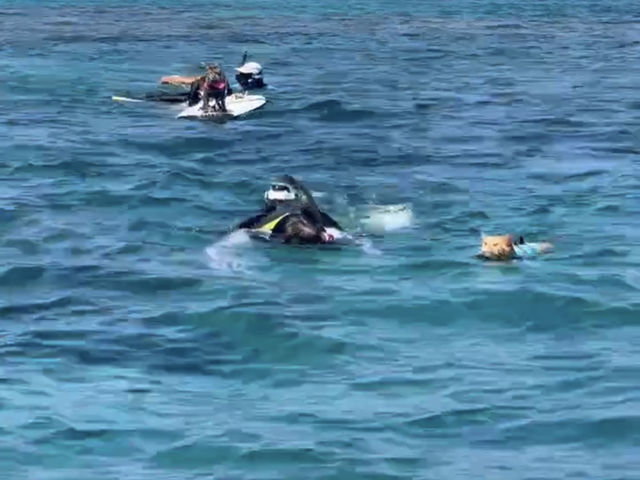 �ꏏ�ɉj���܂���_Like Daddy