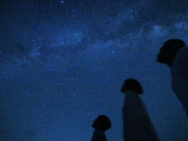 ����i�C�g�c�A�[�Œ������ʐ^_motti�@���\���g���b�L���O�G�R�c�A�[