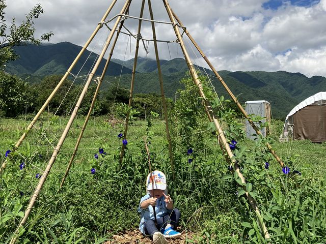 �����̉Ɓi���j��_�u���[�x���[�̐X�@���Â݂�