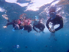 ݂̃Vm[P{@ILiւ̓eʐ^1