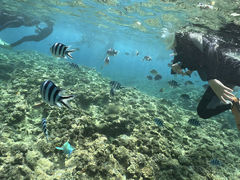 ̐̓AJiT_CrOւ̓eʐ^1