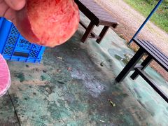 Ђ낳̂܂邹ʎւ̓eʐ^1