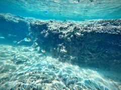 肿񂳂POWER MARINEip[}jꍡAmւ̓eʐ^1