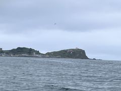 i}Y̏M̓AN[Yւ̓eʐ^1