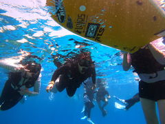 ЂƂƂ񂳂̉AChN[ւ̓eʐ^1