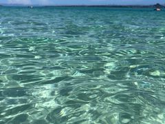 yu808̃}Vbv }[Chւ̓eʐ^1