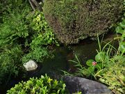 ^JV̋ˎmcƐՂ̓eʐ^1