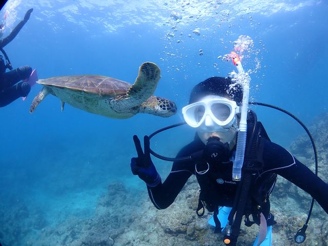 �_�C�r���O�ňꏏ�ɃE�~�K���Ɖj���܂����I�������E�~�K���ł߂����Ⴉ�킢���I_���S�Ґ��}�����T�[�r�X�T���t�B�b�V���Ί_��