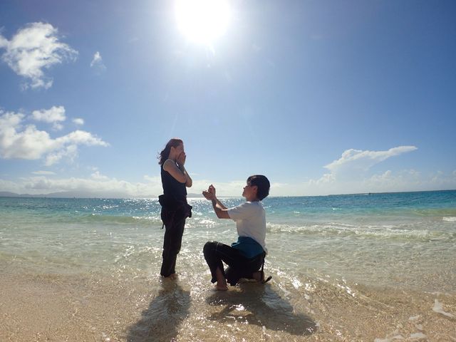 ���̓��Ńv���|�[�Y�I_���S�Ґ��}�����T�[�r�X�T���t�B�b�V���Ί_��