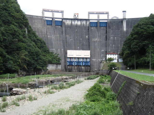 ��̂̉��ɂ͐V�����씭�d��������_������_���i�����΁j