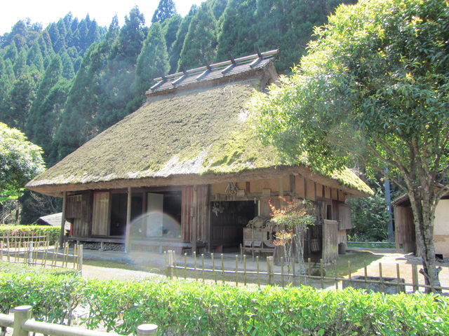 ��������j���������قɂ���_�����v�O�Ɉړ]���ꂽ�_���Ɖ�_������_���i�����΁j