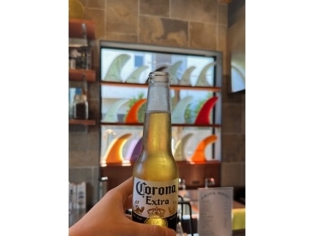 �T�[�t�B���I���̃r�[��_ZLAND supply house