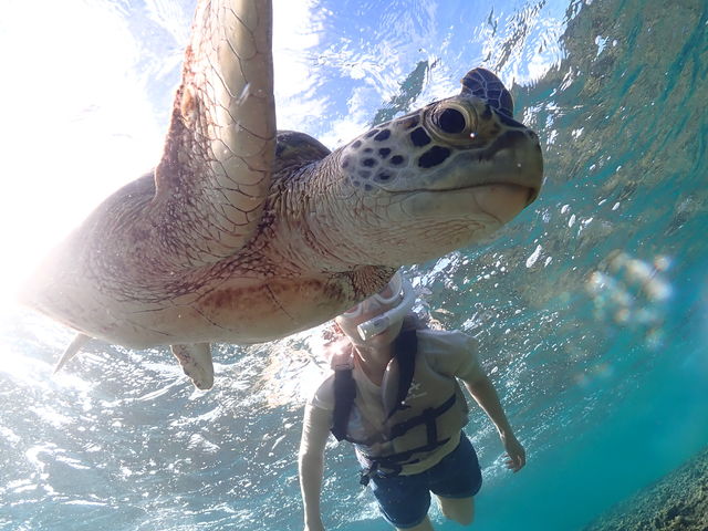 �������񂠂邨�C�ɓ���̂Ȃ��̈ꖇ�ł�o(^o^)o_CHAMP TOUR �{�Ó�