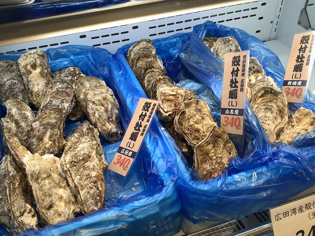 �n���ō̂ꂽ�C�Y���Ȃǂ��̔����Ă���_���̉w���c����