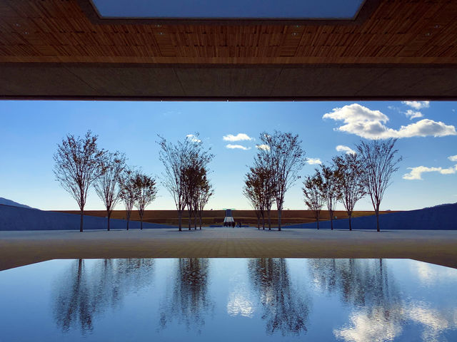 �������O��_���̉w���c����