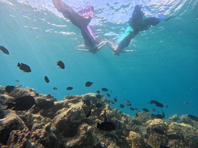 �}�[���C�h�X�C��_OCEANZ - �I�[�V�����Y