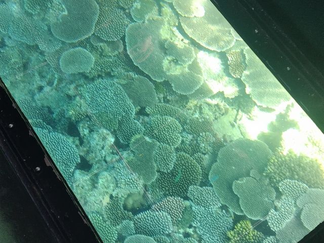 XƂĂꂢłB_[t][g䂵