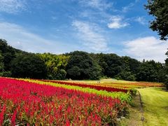 񂳂̕uːXьZOEFCcA[ւ̓eʐ^1