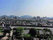 �C�C�ꃉ�C�_�[����̐��ω��̓��e�ʐ^5