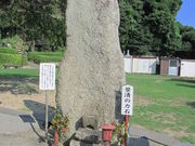 �C�C�ꃉ�C�_�[����̐��ω��̓��e�ʐ^6