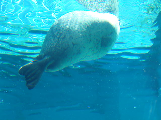 ���R������