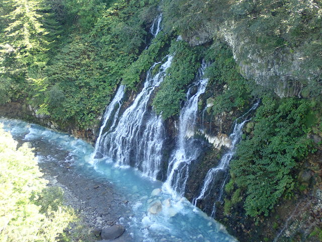 ���Ђ��̑�