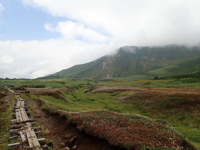大雪山の高山植物群落】アクセス・営業時間・料金情報 - じゃらんnet