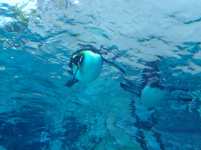 ���R������