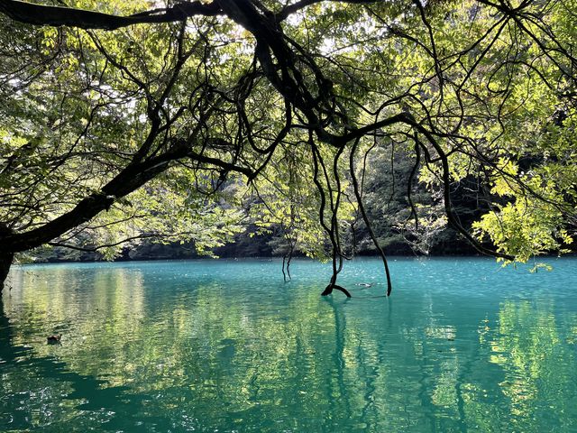 ������������Ɛ����ƂĂ����Y��ł����_(^o^)�^_�����h���b�v�@�A�E�g�h�A�K�C�h�T�[�r�X