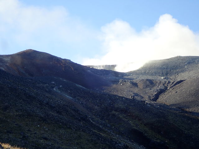 �����Ό�