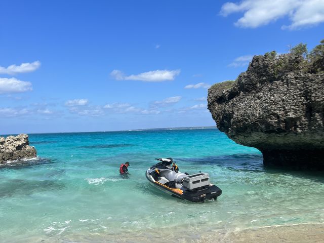 �C�̐F���ō��ł��I_�}�����K�C�h�C��(����Ԃ�)