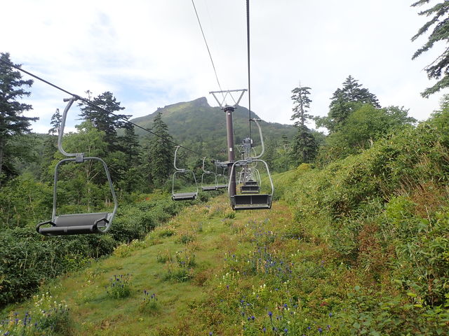 ���x�y�A���t�g