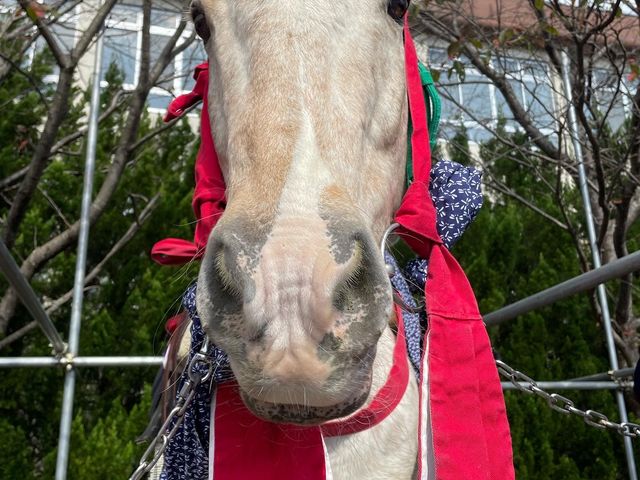 �O���C��y�B�A�p���[�T23�΁I�@���b�X���A�g���b�L���O�A���Ղ�ƑS��OK�ȃX�[�p�[�Z���s�[�z�[�X_���񂳂�q��