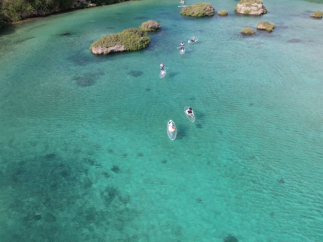 �N���A�T�b�v_Cheerful �{�Ó�