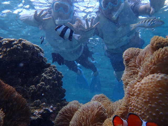 �V���m�[�P��_Cheerful �{�Ó�