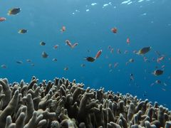 Ί_ ADVENTURE PiPi̎ʐ^1