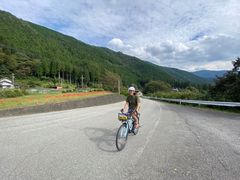 ̂elephant treeւ̓eʐ^1