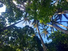 tokotoko-1215̐Ί_Ahx`[tHgcA[ KIBOUւ̓eʐ^1